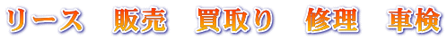 [X@̔@@C@Ԍ